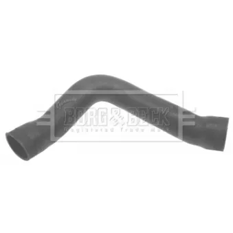 Gaine de suralimentation BORG & BECK BTH1186