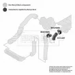 Gaine de suralimentation BORG & BECK BTH1187 - Visuel 3