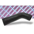 Gaine de suralimentation BORG & BECK BTH1188 - Visuel 2