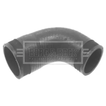 Gaine de suralimentation BORG & BECK BTH1194