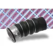 Gaine de suralimentation BORG & BECK BTH1198 - Visuel 2