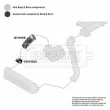 Gaine de suralimentation BORG & BECK BTH1198 - Visuel 3