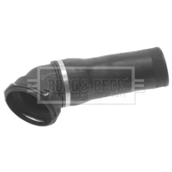 Gaine de suralimentation BORG & BECK BTH1199