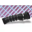 Gaine de suralimentation BORG & BECK BTH1201 - Visuel 2