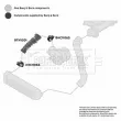 Gaine de suralimentation BORG & BECK BTH1201 - Visuel 3