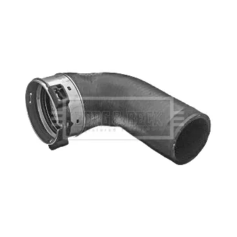 Gaine de suralimentation BORG & BECK BTH1204