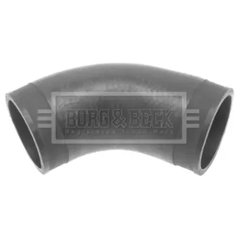 Gaine de suralimentation BORG & BECK BTH1208