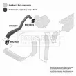 Gaine de suralimentation BORG & BECK BTH1209 - Visuel 3