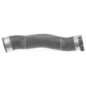 Gaine de suralimentation BORG & BECK BTH1210