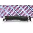 Gaine de suralimentation BORG & BECK BTH1210 - Visuel 2