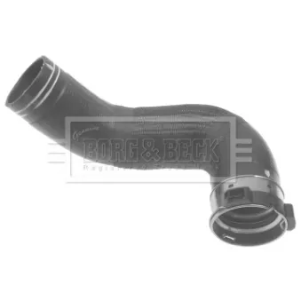 Gaine de suralimentation BORG & BECK BTH1221