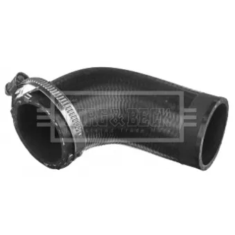 Gaine de suralimentation BORG & BECK BTH1229