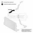 Gaine de suralimentation BORG & BECK BTH1230 - Visuel 3