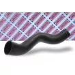 Gaine de suralimentation BORG & BECK BTH1231 - Visuel 2