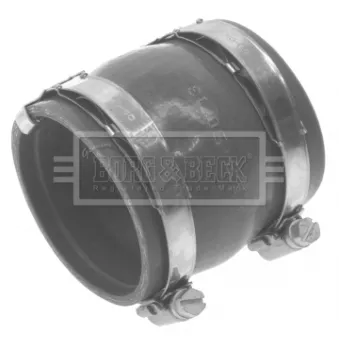 Gaine de suralimentation BORG & BECK BTH1232
