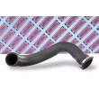 Gaine de suralimentation BORG & BECK BTH1240 - Visuel 2