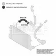 Gaine de suralimentation BORG & BECK BTH1245 - Visuel 3