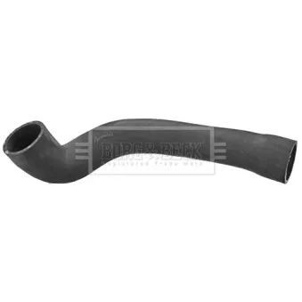 Gaine de suralimentation BORG & BECK BTH1250
