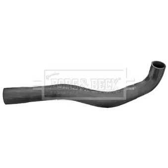 Gaine de suralimentation BORG & BECK BTH1251