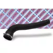 Gaine de suralimentation BORG & BECK BTH1253 - Visuel 2