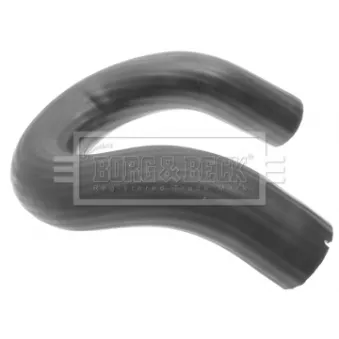 Gaine de suralimentation BORG & BECK BTH1255