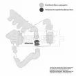 Gaine de suralimentation BORG & BECK BTH1256 - Visuel 3
