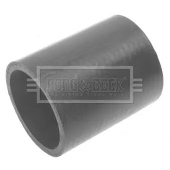 Gaine de suralimentation BORG & BECK BTH1257