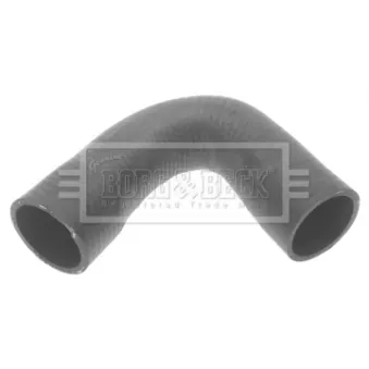 Gaine de suralimentation BORG & BECK BTH1259