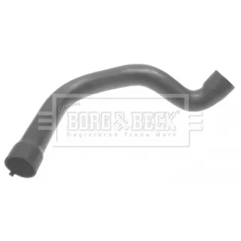 Gaine de suralimentation BORG & BECK BTH1262