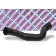 Gaine de suralimentation BORG & BECK BTH1263 - Visuel 2