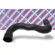 Gaine de suralimentation BORG & BECK BTH1265 - Visuel 2