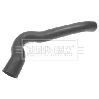 Gaine de suralimentation BORG & BECK BTH1266