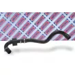 Gaine de suralimentation BORG & BECK BTH1269 - Visuel 2