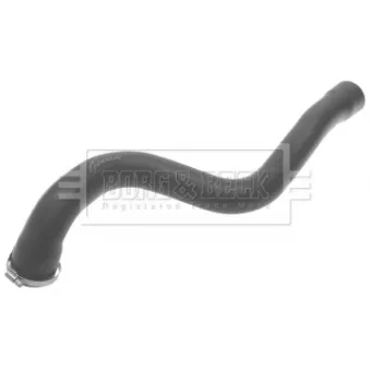 Gaine de suralimentation BORG & BECK BTH1270