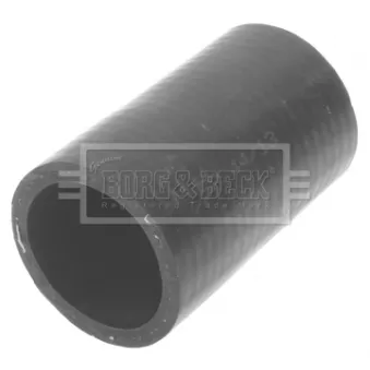 Gaine de suralimentation BORG & BECK BTH1271
