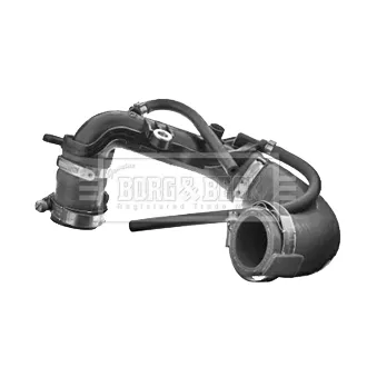 Gaine de suralimentation BORG & BECK BTH1272
