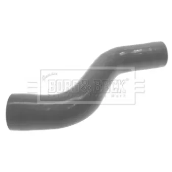 Gaine de suralimentation BORG & BECK BTH1284