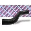 Gaine de suralimentation BORG & BECK BTH1284 - Visuel 2