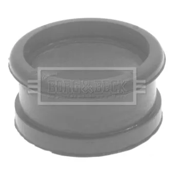 Gaine de suralimentation BORG & BECK BTH1290