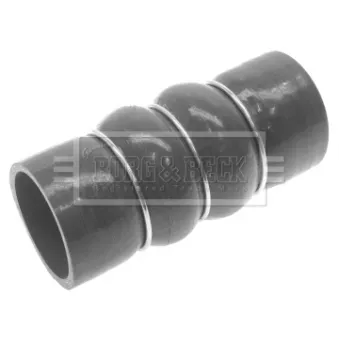 Gaine de suralimentation BORG & BECK BTH1291