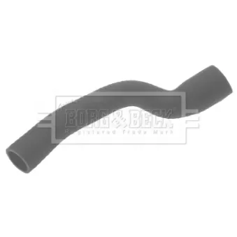 Gaine de suralimentation BORG & BECK BTH1292