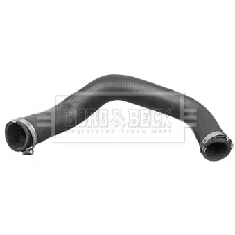 Gaine de suralimentation BORG & BECK BTH1294