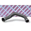 Gaine de suralimentation BORG & BECK BTH1294 - Visuel 2
