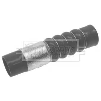 Gaine de suralimentation BORG & BECK BTH1301