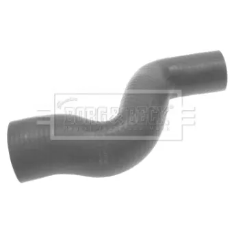 Gaine de suralimentation BORG & BECK BTH1302