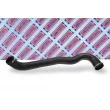 Gaine de suralimentation BORG & BECK BTH1304 - Visuel 2