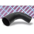 Gaine de suralimentation BORG & BECK BTH1305 - Visuel 2