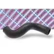 Gaine de suralimentation BORG & BECK BTH1306 - Visuel 2