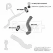 Gaine de suralimentation BORG & BECK BTH1306 - Visuel 3