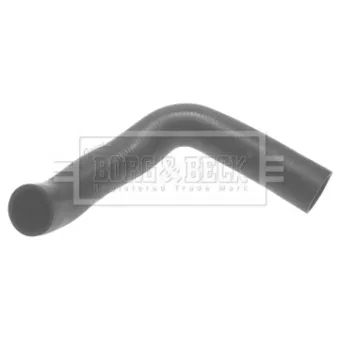 Gaine de suralimentation BORG & BECK BTH1307